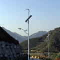 Wind Solar Street Light (50W)